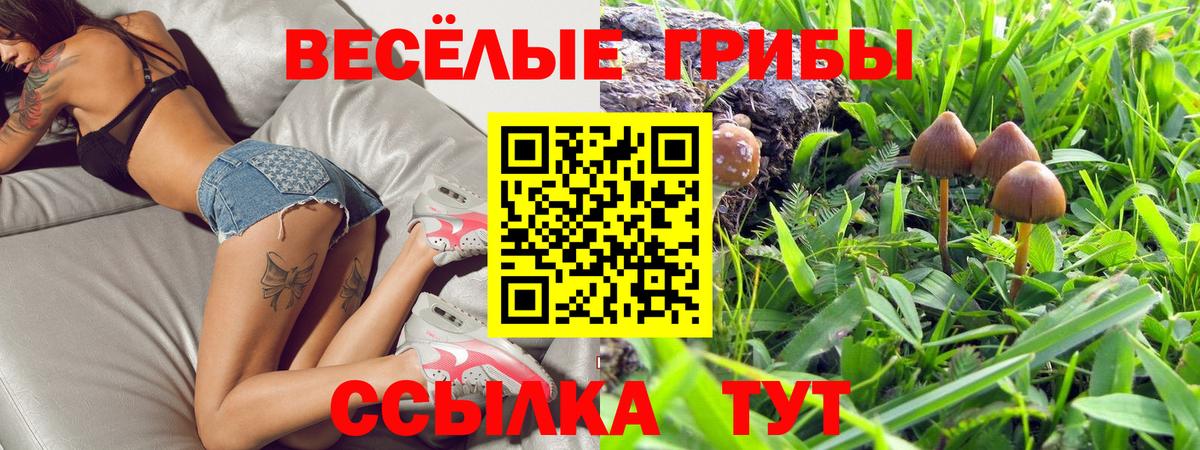 Галлюциногенные грибы мухоморы  Вход с VPN  закладка  Сафоново 